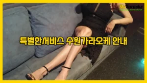 특별한서비스 수원가라오케 안내